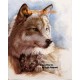 Wolf and Cub  - #ROR404  -  PRINT
