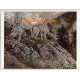 Wolf  - #FOR1  -  PRINT