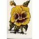 Pansy  - #TOR125  -  PRINT