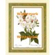 Rosa  - #XKFL9822  -  PRINT