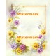 Pansy Border  - #XS19854  -  PRINT