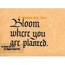Bloom  - #AOR47  -  PRINT