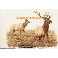 Elk & Doe  - #BOR1  -  PRINT