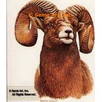 Rocky Mt. Bighorn Sheep  - #BOR11  -  PRINT