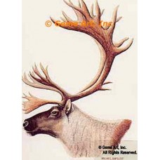 Caribou  - #BOR14  -  PRINT