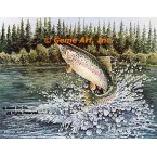 Rainbow Trout  - BOR24  -  PRINT