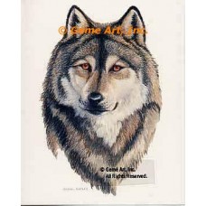 Wolf  - #BOR42  -  PRINT