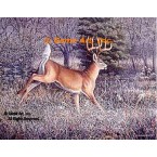 Frosty Morning  - #BW55  -  PRINT