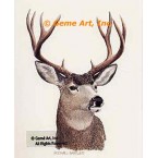 Mule Deer Buck  - #BOR9  -  PRINT