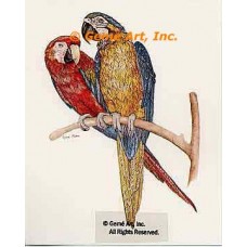 McCaws  - #COR54  -  PRINT