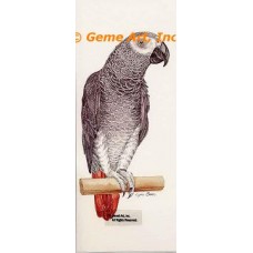 Parrot  - #COR57  -  PRINT