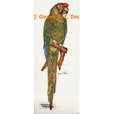 Military McCaw  - #COR82  -  PRINT