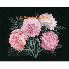 Carnations  - ZOR1007  -  PRINT