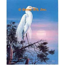 Egret  - #QOR37  -  PRINT