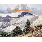 Big Horns  - #MOR202  -  PRINT