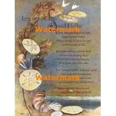 Foil Print  - #XS11779F  -  FOIL PRINT