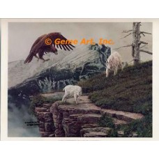 Eagle & Mountain Goats  - FOR2  -  PRINT
