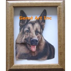 German Shepherd Project #IOR103