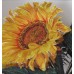 Sunflower Project #IOR74