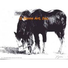 Horse  - EOR1  -  PRINT