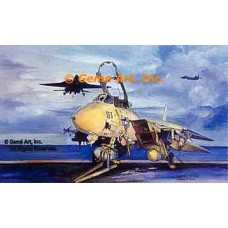 F-14 Plane  - #MOR307  -  PRINT