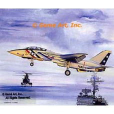 F-14 Navy  - #MOR308  -  PRINT