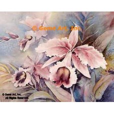 Orchids  - #ROR603  -  PRINT