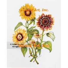 Mixed Sunflowers & Black-Eyed Susans  - WOR145  -  PRINT