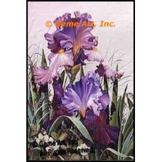Purple Iris  - RORRB100-1  -  DETAIL PRINT