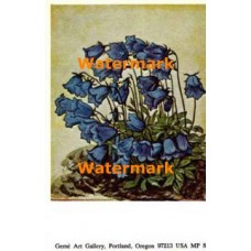 Flower  - #MPOR8  -  PRINT