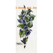 Morning Glories  - ZOR826  -  PRINT