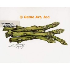Asparagus  - ZOR869  -  PRINT