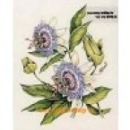 Passion Flowers  - #MOR907  -  PRINT