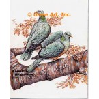 Band-Tailed Pigeons  - #MOR912  -  PRINT