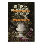 Callas  -  #XXKH10792  -  PRINT