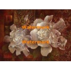 Statement of Style II  -  #XXKH11189  -  PRINT