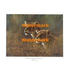 Sisters Of The Serengeti  - #XXKL10091  -  PRINT