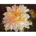 Eastern Beauty II  - XXKL11678  -  PRINT