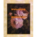 Venetian Roses II  - #XXKL9052  -  PRINT