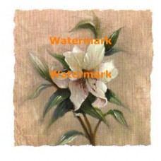 Garden Lily  - #XXKP10005  -  PRINT