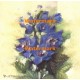 Delphinium Magic  - XXKP10364  -  PRINT