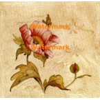 Perfect Peony I  - #XXKP10413  -  PRINT