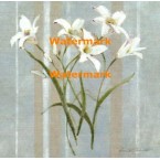 Stripes and Lilies  - #XXKP10918  -  PRINT