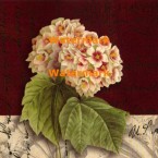 Postcard Snowball  - #XXKP11372  -  PRINT