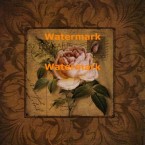 P.S. I Love You  - #XXKP11751  -  PRINT