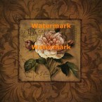 P.S. I Love You Too  - #XXKP11752  -  PRINT