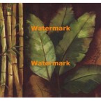Bamboo And Palms I  - #XXKP12290  -  PRINT