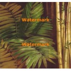 Bamboo And Palms II  - #XXKP12291  -  PRINT