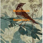Songbird I  - #XXKP13062  -  PRINT