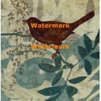 Songbird II  - #XXKP13063  -  PRINT